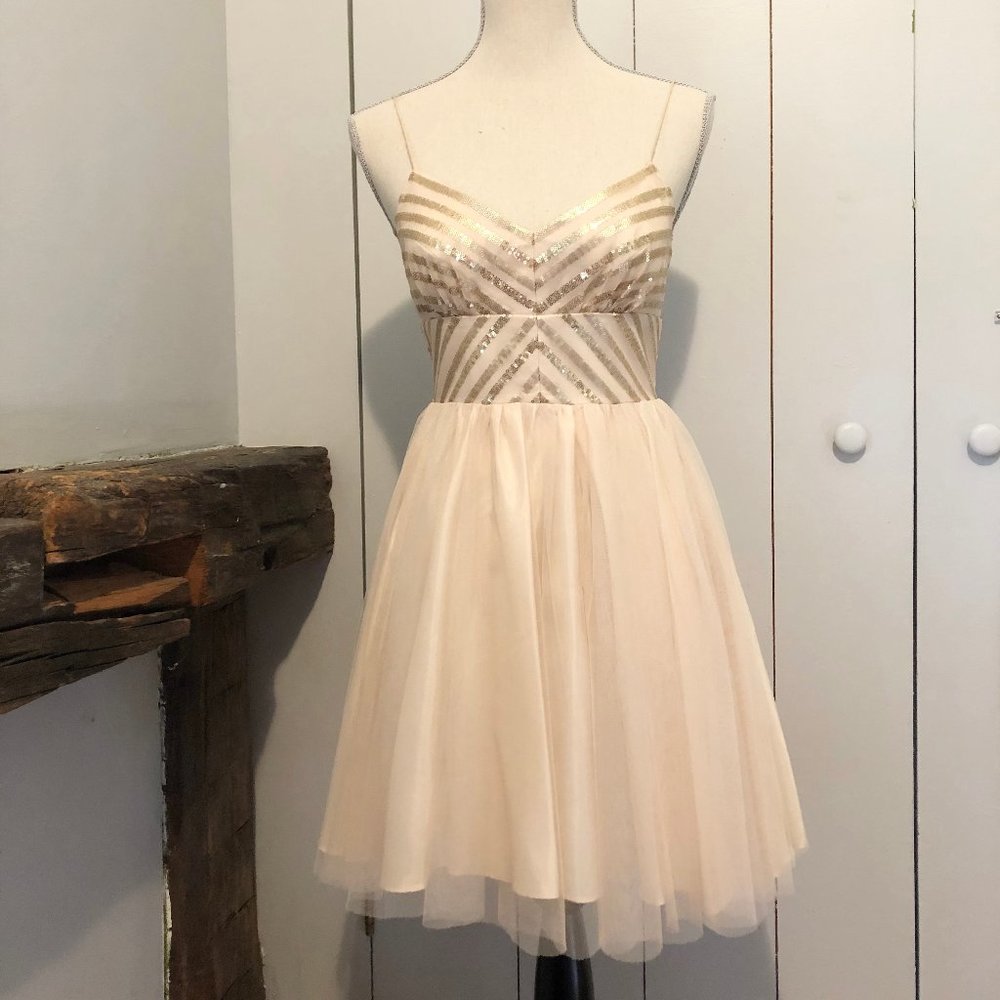 Aqua brand Gold Sequin and Tulle Mini Dress